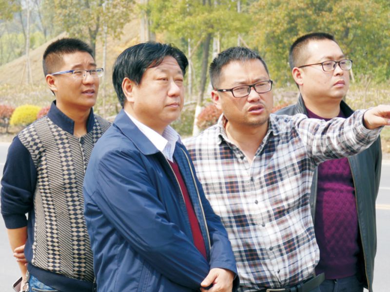 今年会jinnianhui园林绿化维护